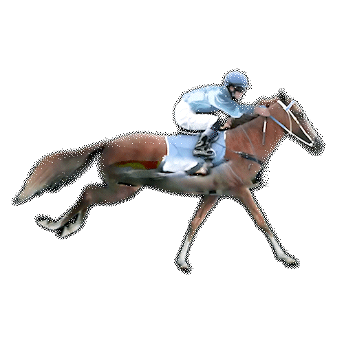 fairplay horse-racing